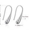 Silver Drop Earrings